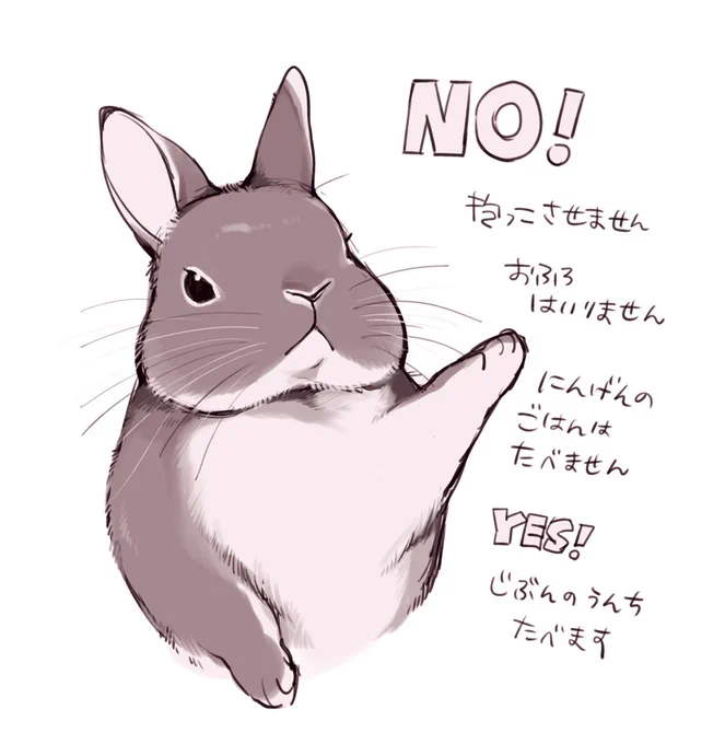 #うさぎ 
