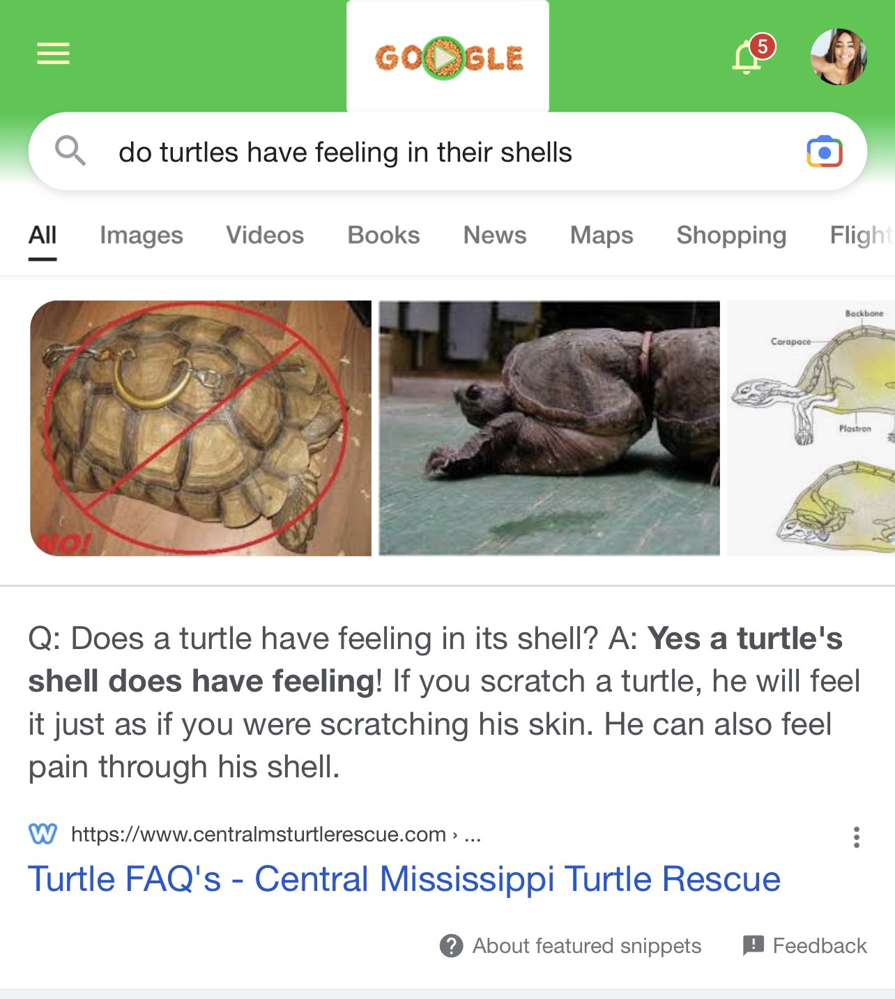 Persephanii Aka Thick Yonce on Twitter: "Which led me to this…🥺 https