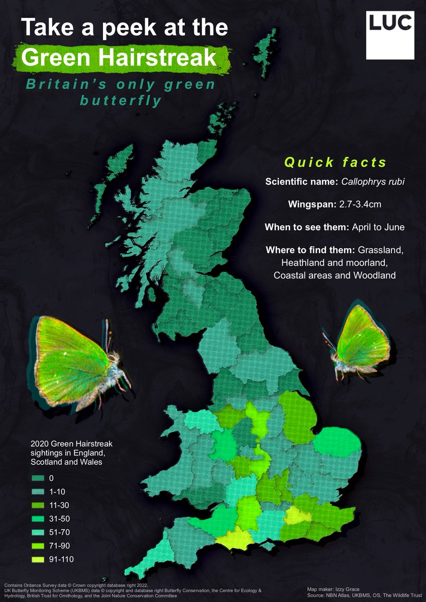 luctweeting's tweet photo. 4. 'Green'

Our final entry of the week for the #30DayMapChallenge was made by Izzy in our #GIS team 🗺️

The map shows the prevalence of Green Hairstreak butterflies – the only green #butterfly found in Britain – measured by number of sightings.

#GISchat #wildlife #ecology https://t.co/1YAJd0gqio