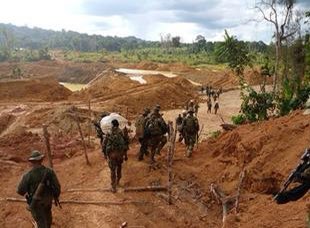FANB no permitirá que grupos  terroristas armados al margen de la ley, asociados al narcotráfico y trata de personas, arbitrariamente socaven y destruyan el ambiente ecológico en áreas de Reservas Forestales, irrespetando todo tipo de normativas, reglamentaciones y leyes.