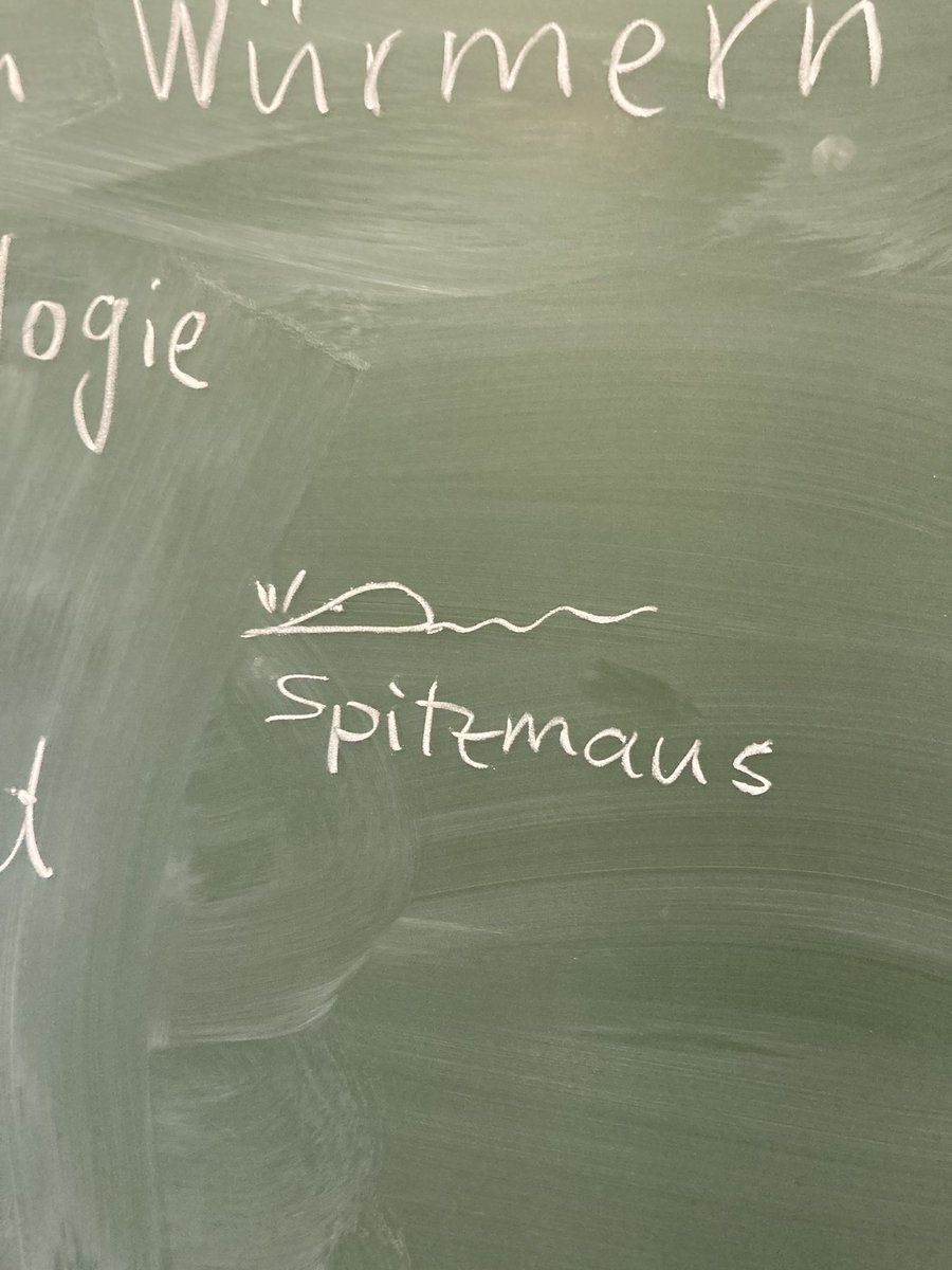 Cecilia Baldoni tweet media