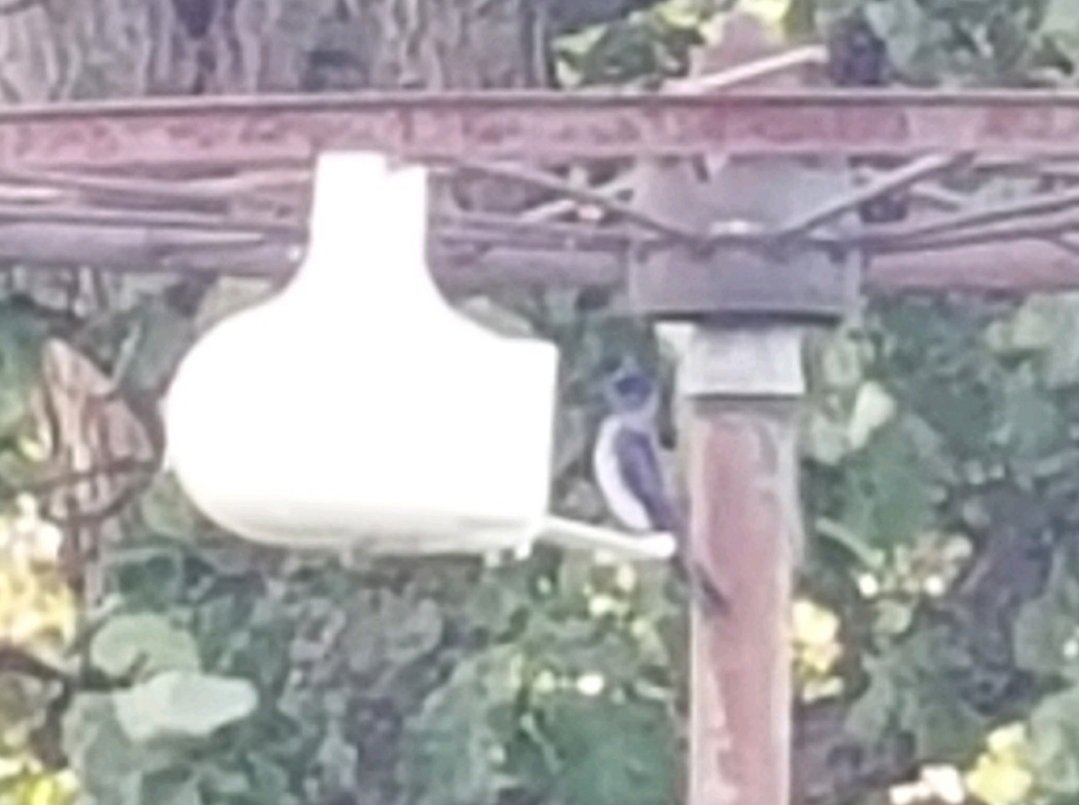 Jarod Hitchings tweet media