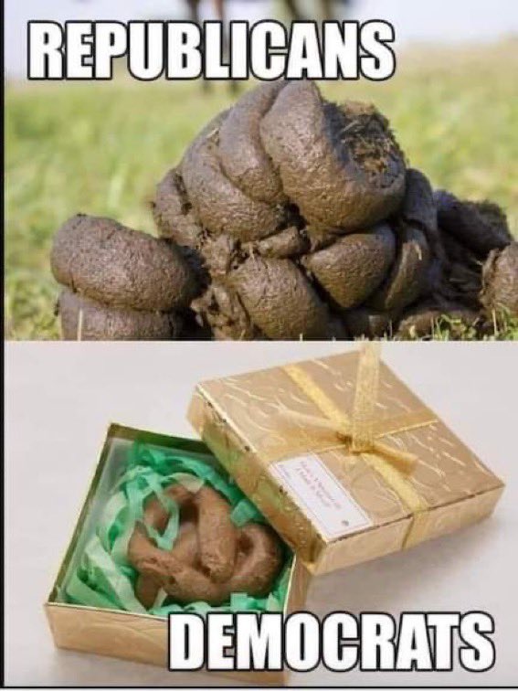 fluxus2's tweet image. Who are you voting for this year??