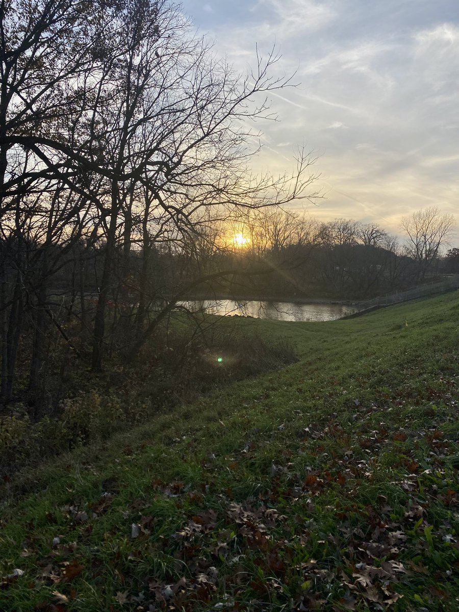 Thursday evening walk 💕<a href="/BusseWoodsFP/">Busse Woods</a>