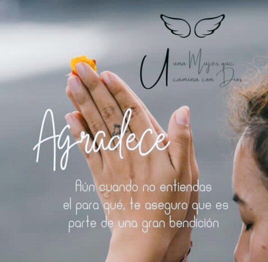 Lisbeth90443734's tweet image. Buen día💙 twittter!! ☕🍰
Demos gracias a Dios por lo mucho o poco que tenemos, por este día, por tener a nuestros hijos sanos, Amén y amén🙏 Glorifica y honra el nombre de Dios.💕🌹