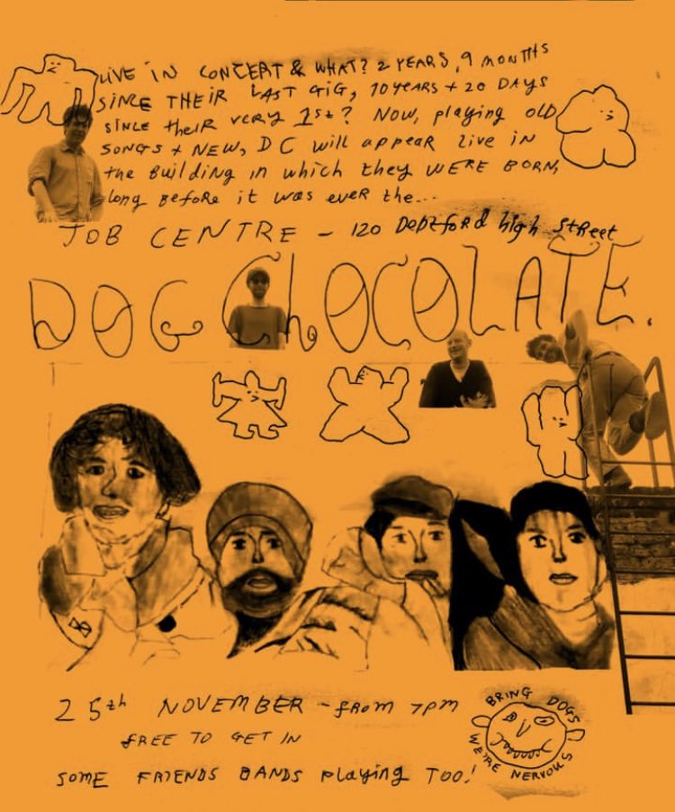 dog chocolate tweet media