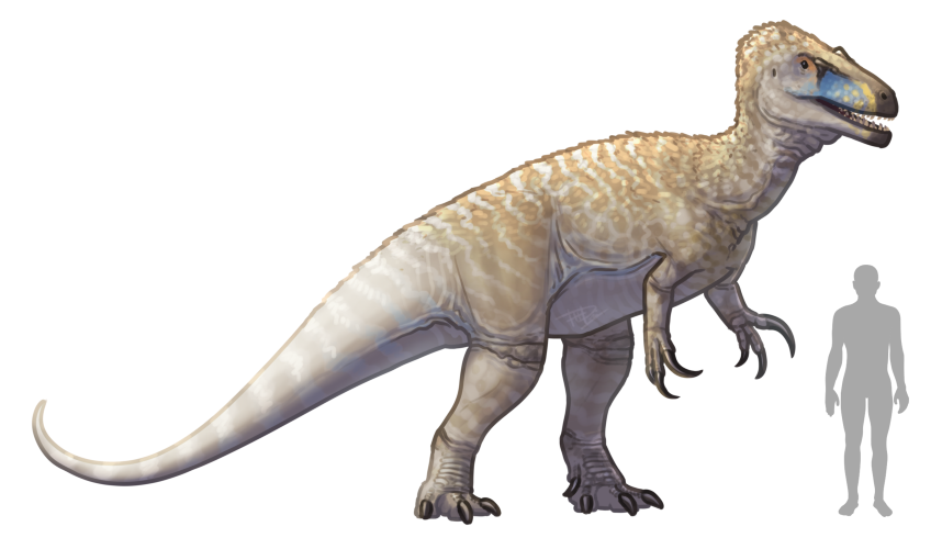 megalosaurusのTwitterイラスト検索結果(古い順)。