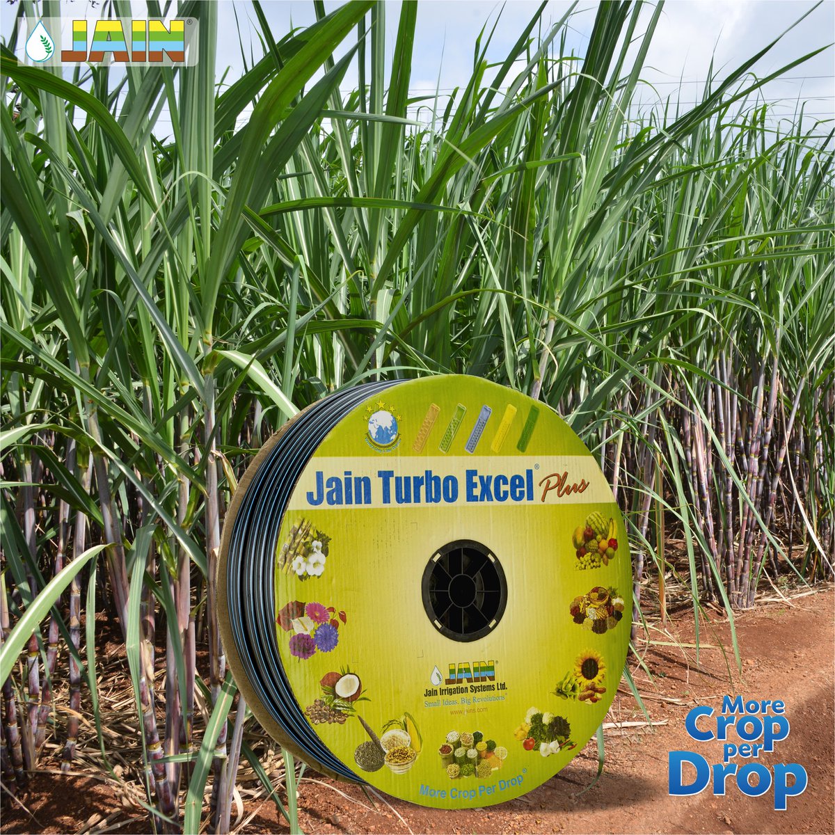 JainIrrigation's tweet photo. Sugar dose your #Sugarcane farms with the perfect water and fertigation schedules with #JainDripLines ✅
Save water upto 70% 💧
Yield increases upto 230% 🎋
#JainDrip #DripLines #TurboExcel #Irrigation #AgTech #JainIrrigation #JISL https://t.co/shC7XFiaYW