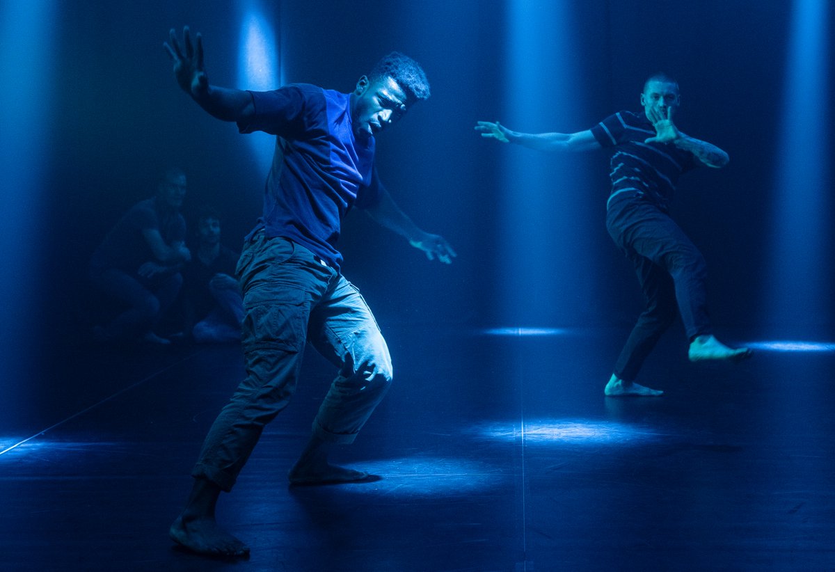 Company Chameleon tweet media