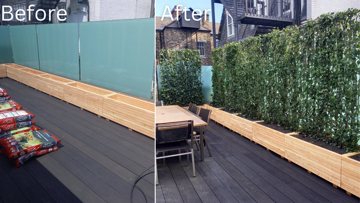 ThePeterBelton's tweet image. Nosy neighbours?

Instant Living Green Screens offer instant privacy and can disguise ugly walls or block unsightly views with lush greenery 👍

Find out more 👇 bit.ly/Instant_Privacy

#SmallSpaceGarden #BalconyDesign #PrivacyScreening