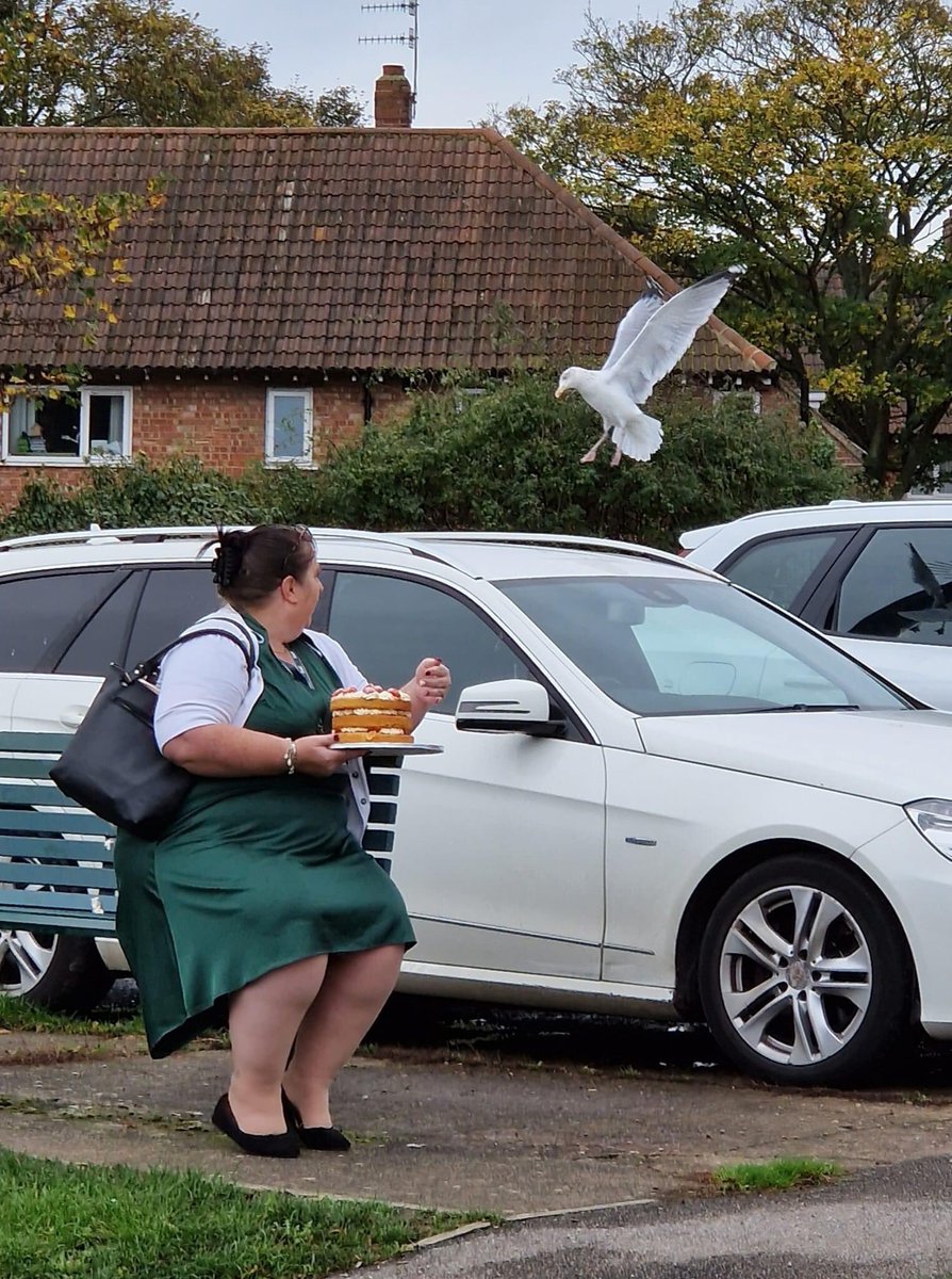 Poor Mama Kendra was determined to protect the cake she made for <a href="/KensingtonRoyal/">The Prince and Princess of Wales</a> visit no matter what. <a href="/spanswicktweets/">Georgey Spanswick</a> <a href="/BBCYork/">BBC York</a> <a href="/TwoRidingsCF/">Two Ridings Community Foundation</a> <a href="/mathewbose/">R M Bose</a>