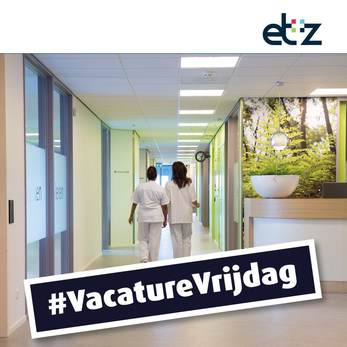 📌 Vacature Vrijdag
Onze zorgeenheid Neurologie heeft een vacature voor een Laborant Klinische Neurofysiologie
👉 bit.ly/3NBNhRv
#VacatureVrijdag #Vacature #Laborant #KNF #KNFLaborant #LaborantKlinischeNeurofysiologie #Neurofysiologie #Neurologie #ETZ #DelenisLief