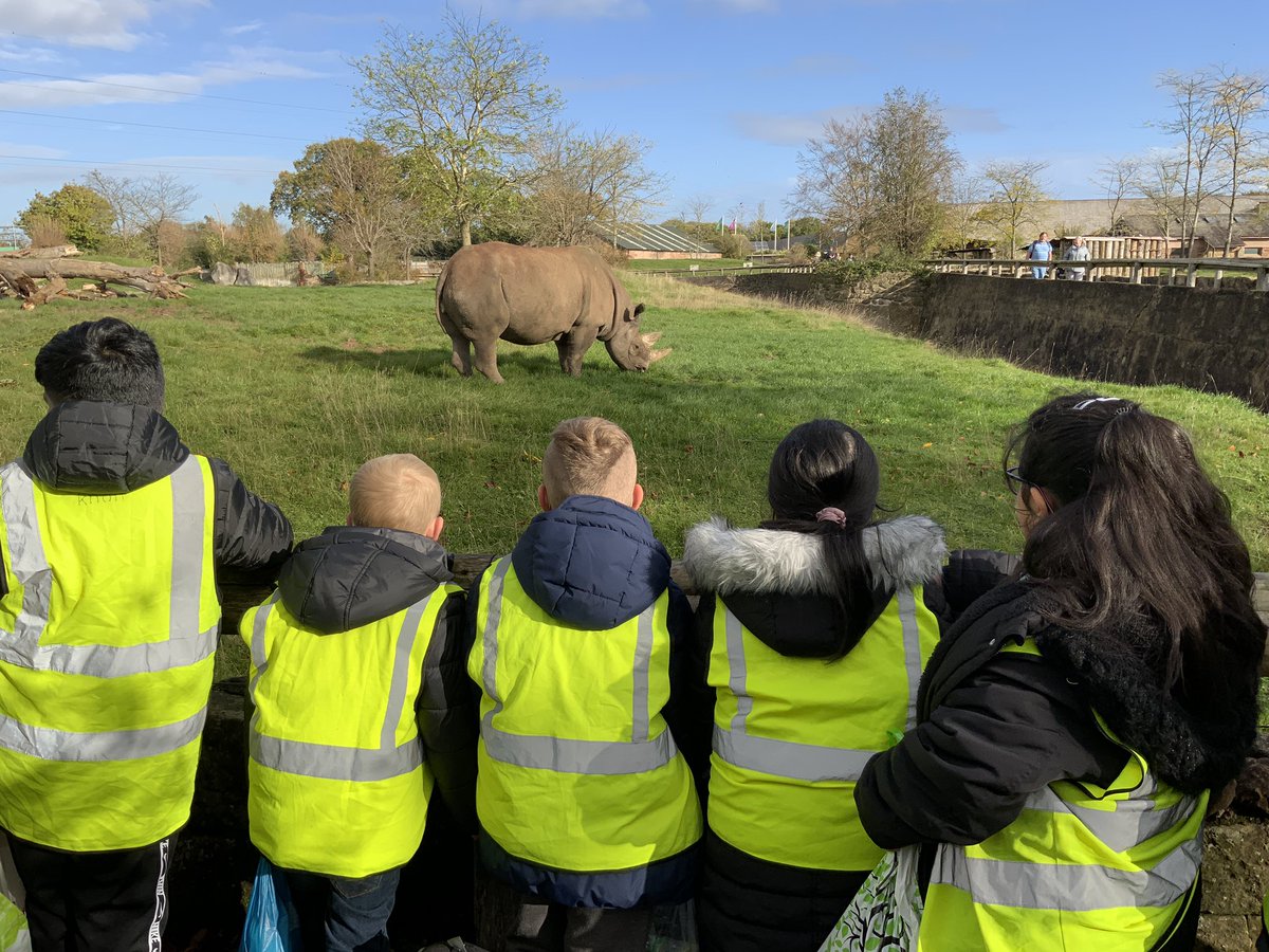 HurstKnollY4's tweet photo. Excited to see the rhinos😀 https://t.co/HydAhaHuEl