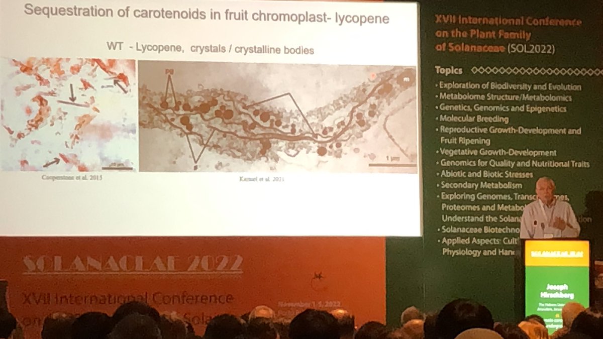 Aureliano Bombarely tweet media