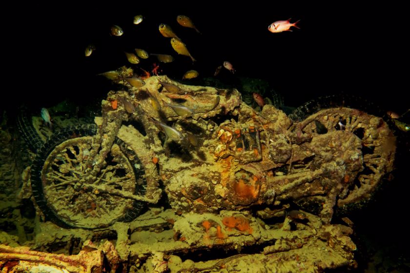 ViaggiSub's tweet photo. Crociera #diving di #Capodanno in #MarRosso fra relitti e barriere. Inclusi voli da Milano per Sharm, #immersionisubacquee  e molto altro. Scopri di più!
 https://t.co/c6dxAZf3Uf https://t.co/iXyHTEivZZ