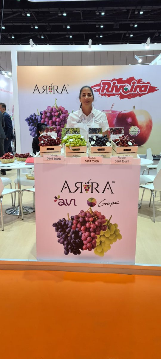 Grapa Varieties tweet media