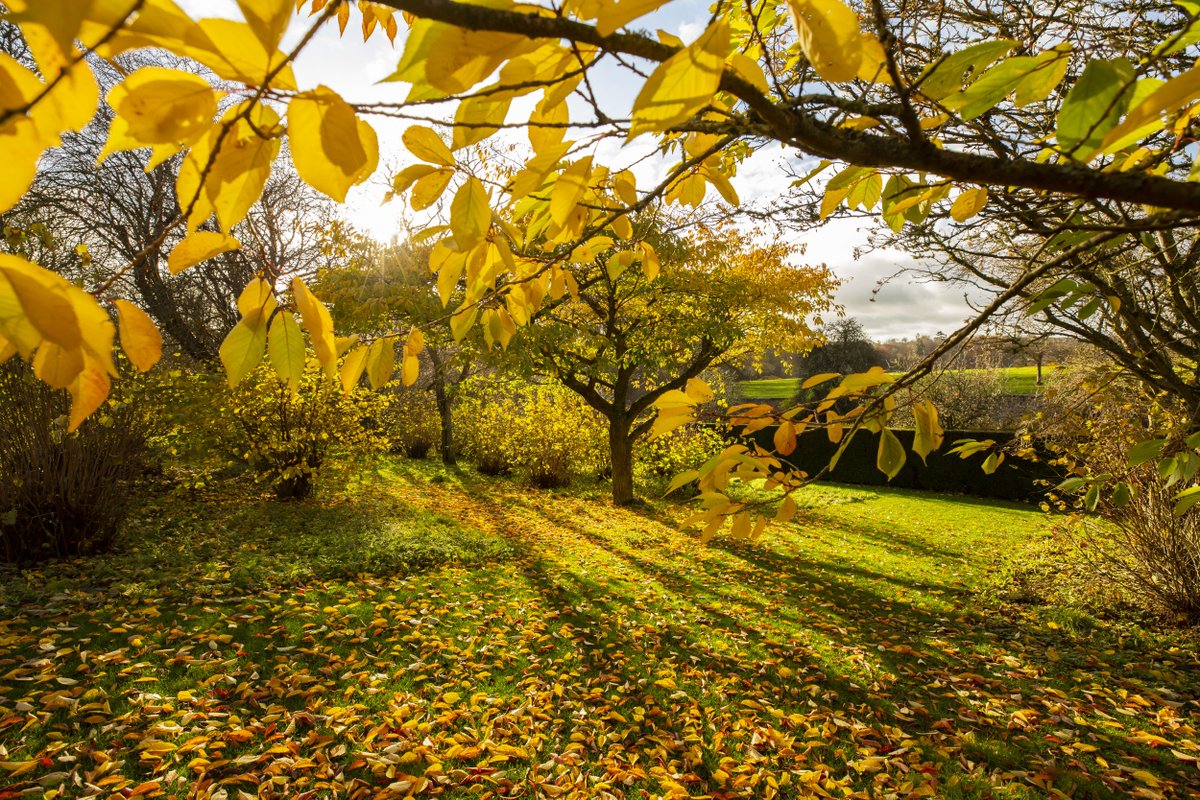 National Trust tweet media