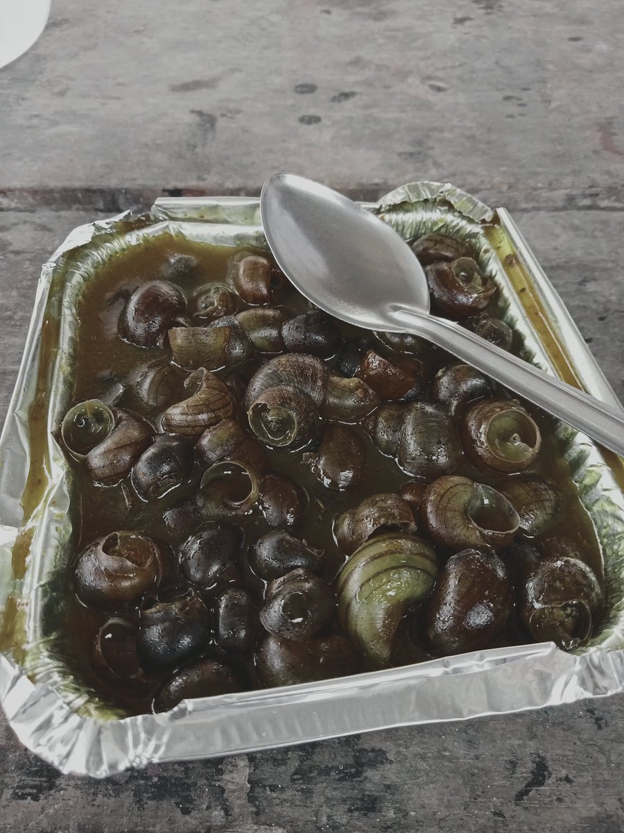 आज एकादशि😂😂