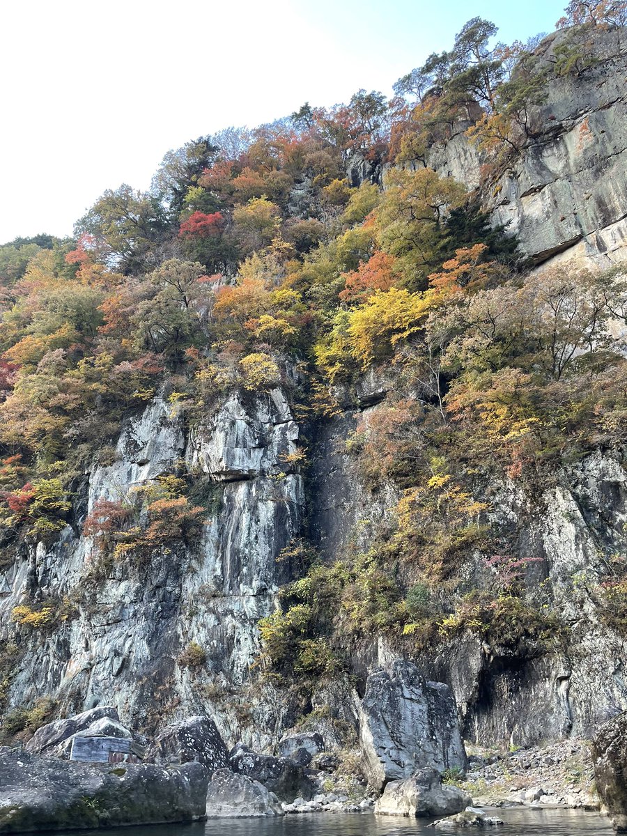 cookymelonmyu's tweet image. 大人遠足⑤
東武ワールドスクエアからバスで鬼怒川温泉へ移動🚌
ランチの後はライン下り🚣‍♀️
色づき始めた紅葉を眺めながら約40分の舟の旅を満喫🍁

川にふねを下ろす作業を目撃しまたもはしゃぐ私😂

#鬼怒川ライン下り
#紅葉