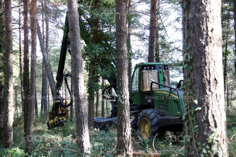 ACNcatcentral's tweet photo. Empreses #forestals denuncien ser víctimes d'actes #vandàlics: "La gent només veu que tallem arbres". Ara s'hi suma un augment de #robatoris de #llenya per la crisi energètica
https://t.co/FVHXWBBLkg https://t.co/g4dXNCQR7m
