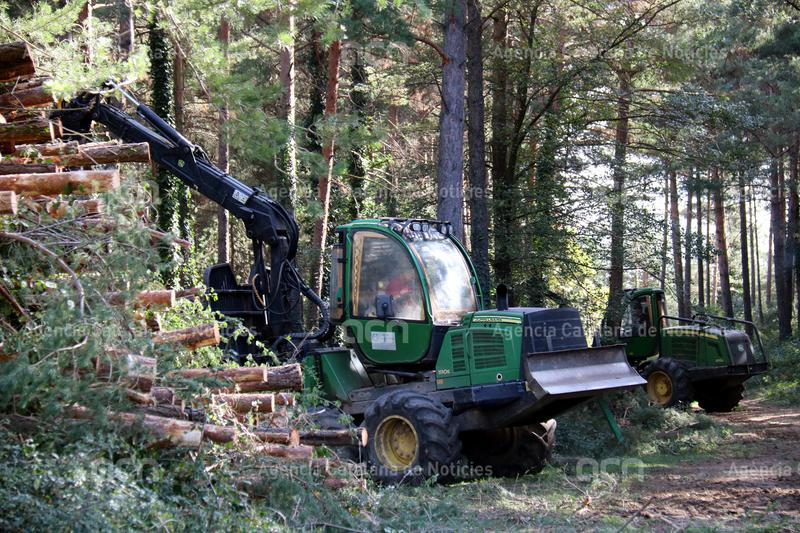 ACNcatcentral's tweet photo. Empreses #forestals denuncien ser víctimes d'actes #vandàlics: "La gent només veu que tallem arbres". Ara s'hi suma un augment de #robatoris de #llenya per la crisi energètica
https://t.co/FVHXWBBLkg https://t.co/g4dXNCQR7m