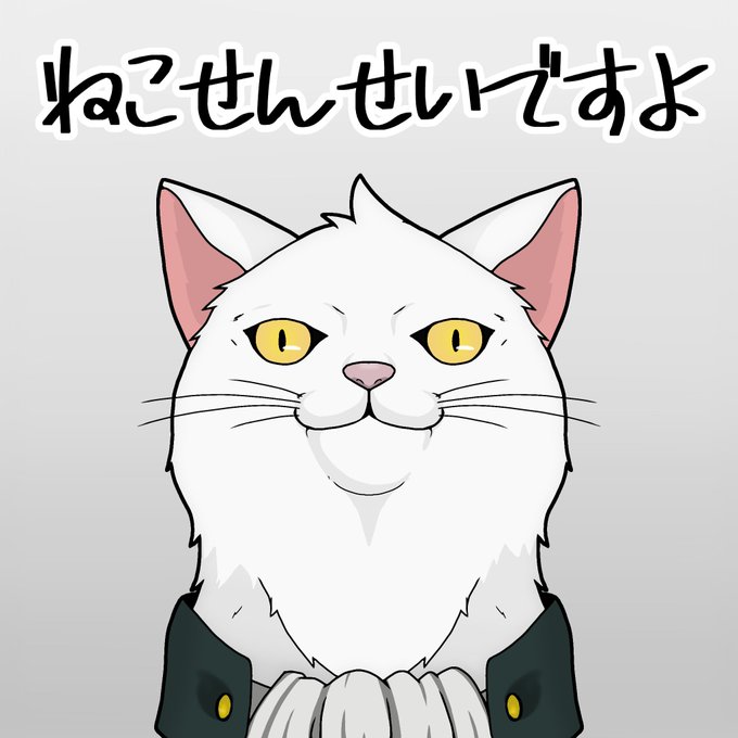 「白い猫 黄色眼」のTwitter画像/イラスト(新着)｜3ページ目
