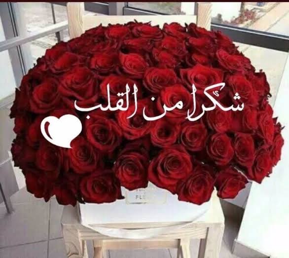 شكرا من قلبى لكل من تابعته و رد متابعتى
هذا من طيب اصلكم و كرم اخلاقكم 
دمتم سعداء و طيبيين..تحياتى
✍️🏻#حور_الدنيا 🤍🌿