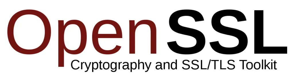 ramessarwat's tweet photo. Ya se está publicando código que explota las vulnerabilidades más recientes de OpenSSL. Se recomienda parchearlas inmediatamente https://t.co/KZKaqnCyPD #vulnerabilidad #openssl #parcheado https://t.co/TH2ADpgFA1