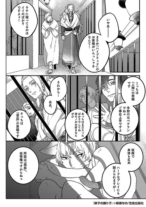 🧑と🦁の高等種族"ハイブリッド"の青年は
一夜を楽しむ相手を求めて訪れた店で
一人の美しい青年と出会う──

『獅子の踊り子』1/2

続きます↓
https://t.co/T7WNZePkDp 