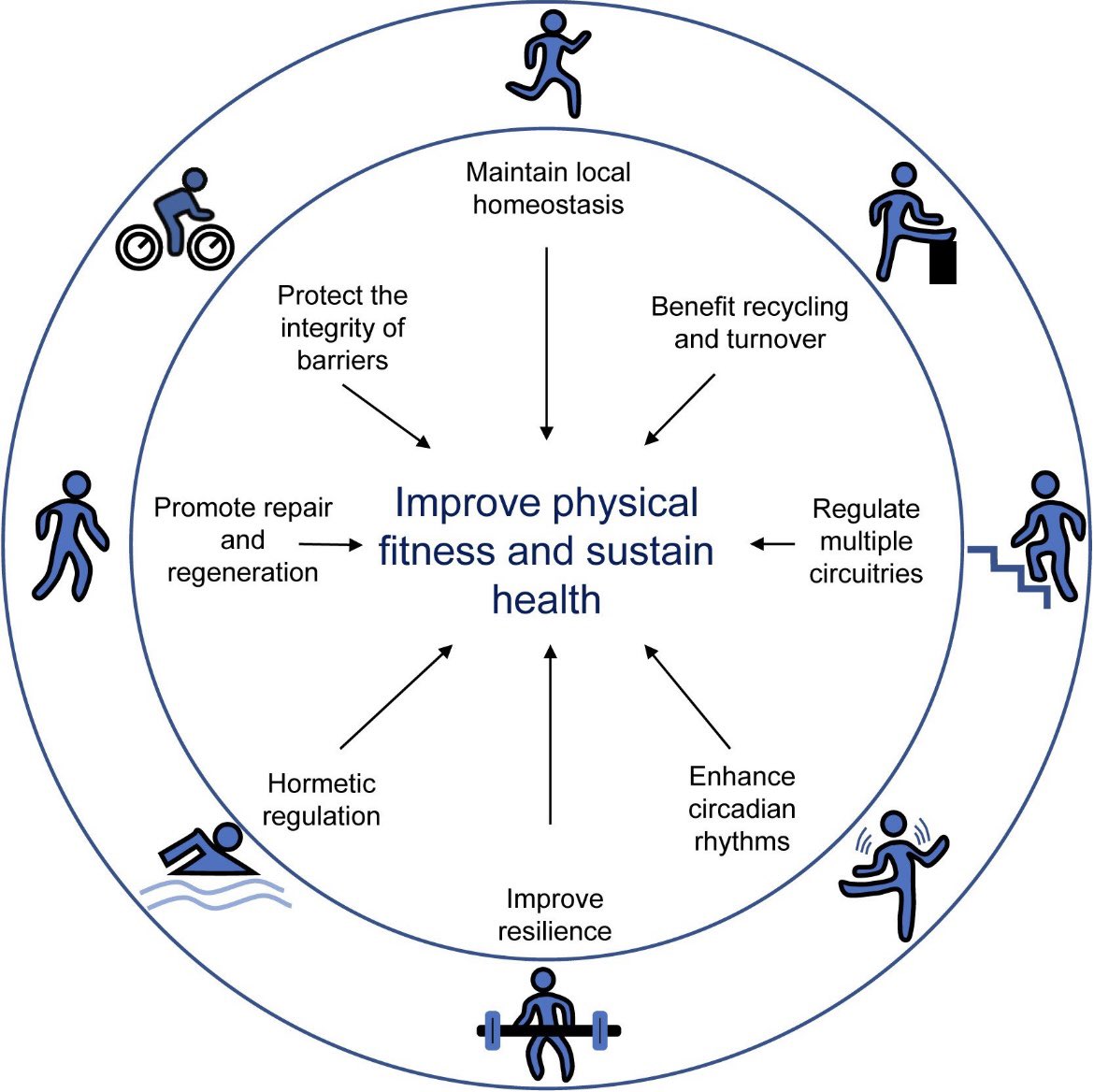 L'Activitat Física i la qualitat de vida estan íntimament connectades. El cos ha estat dissenyat per moure's i necessita activitat física regular per funcionar correctament.