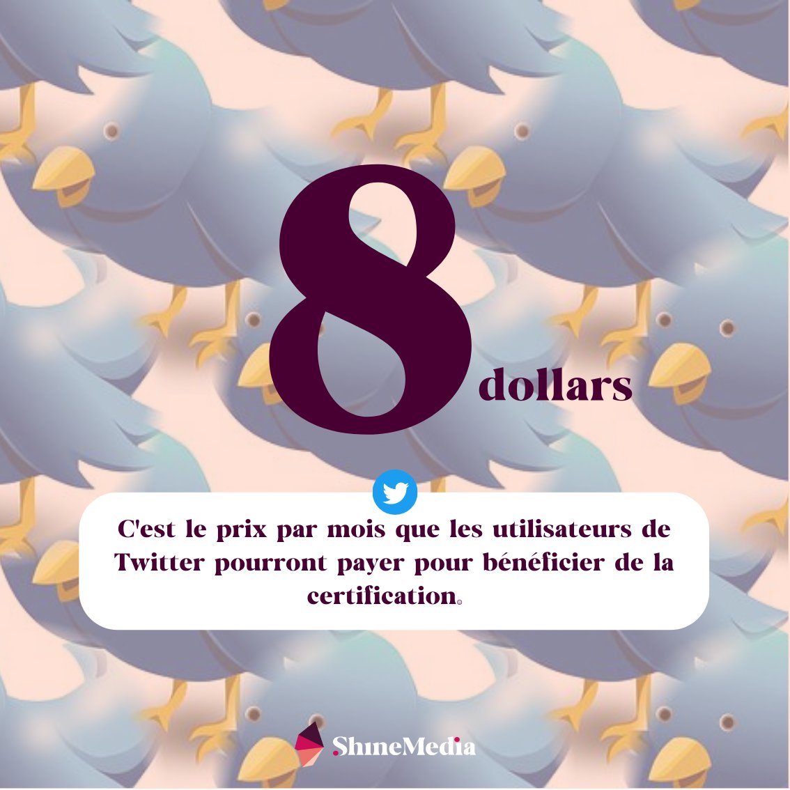 Elon Musk a annoncé cette nouvelle via un tweet le 1 novembre.

Lien de l'article : siecledigital.fr/2022/11/02/twi…