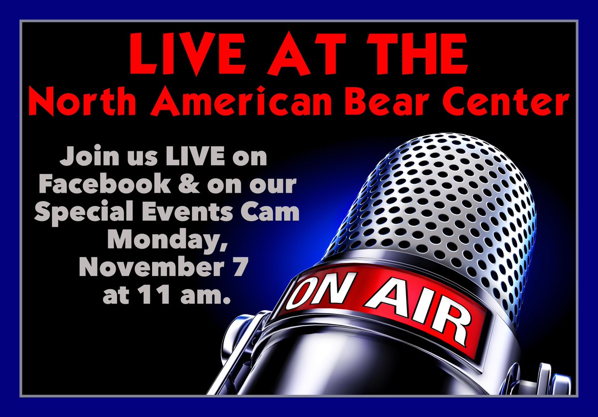 North American Bear Center tweet media