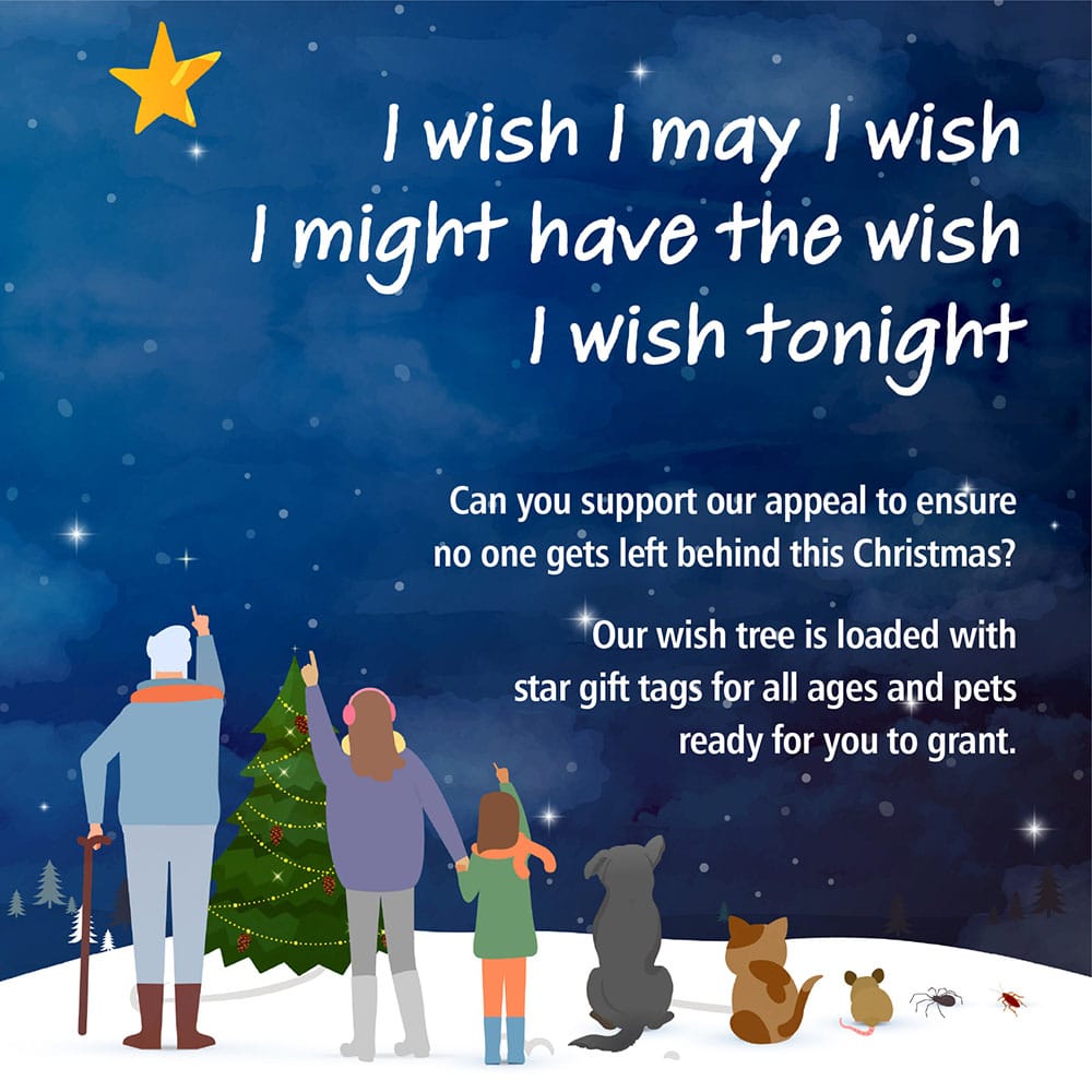 #FundraisingFriday 
Today we launch our Wish appeal 
We have a tree full of wishes just waiting to be granted. You pick a tag that has a name , age and wish on , you then buy that gift and grant the wish ⭐