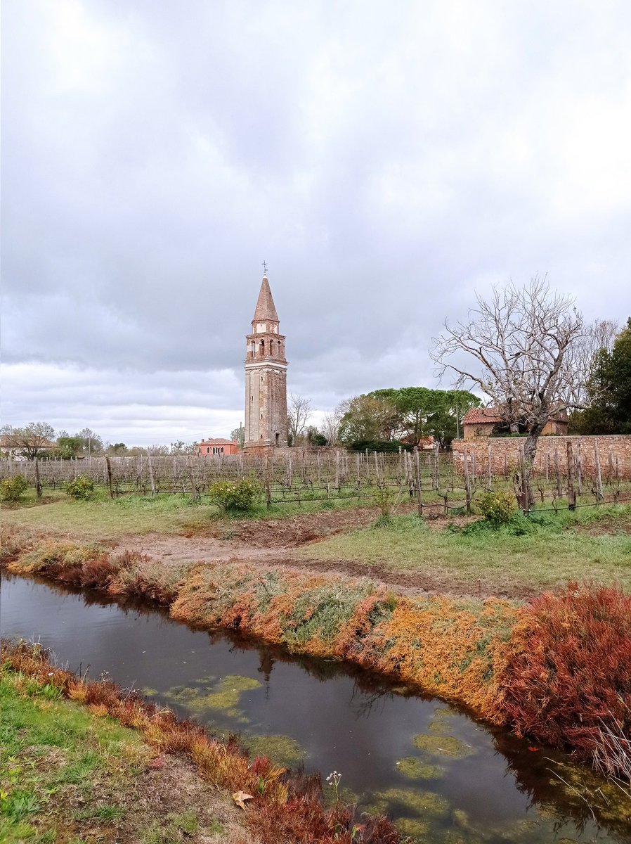 Lucie Tournebize tweet media