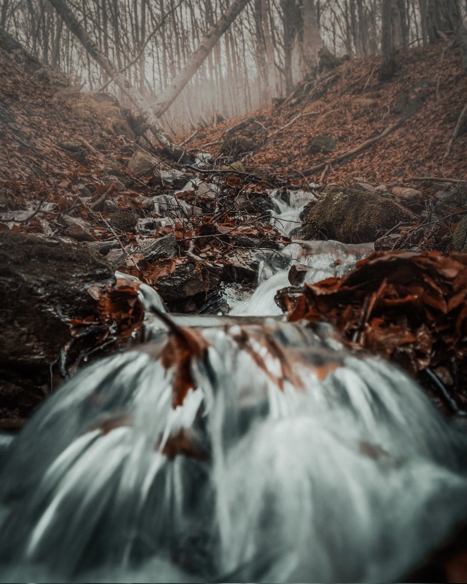 Luca__Ramble's tweet photo. Appennino Tosco-Emiliano 🇮🇹
#ourplanetdaily #folkmagazine #folkscenery #moodygram #moodygrams  #igmasters #openmyworld #stayandwander #folkgreen  #wildernessculture #folkvibe  #welcomenature #hiking #naturephotography #neverstopexploring #exploremore #emiliaromagna #visititaly https://t.co/5w3sbLvWc8