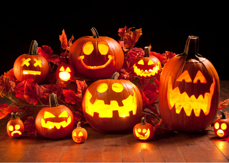 Mysfredag igen! Idag allhelgonadags och firas några dagar efter Halloween som alltid firas i övriga världen den 31 oktober. Idag halv dag för många och helgdag imorgon lördag. Trevlig helg!