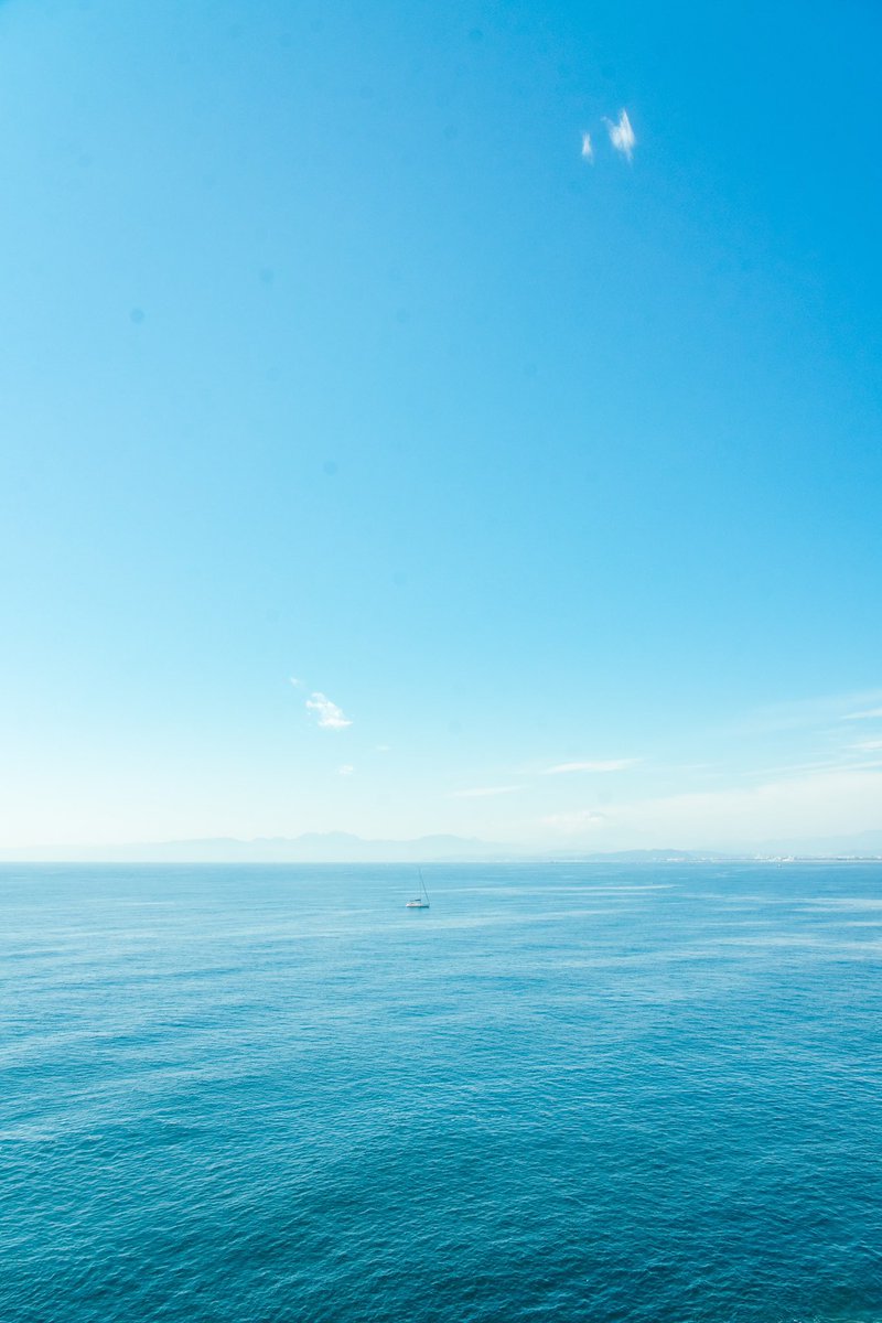 勝間田 崇登/shuto tweet media