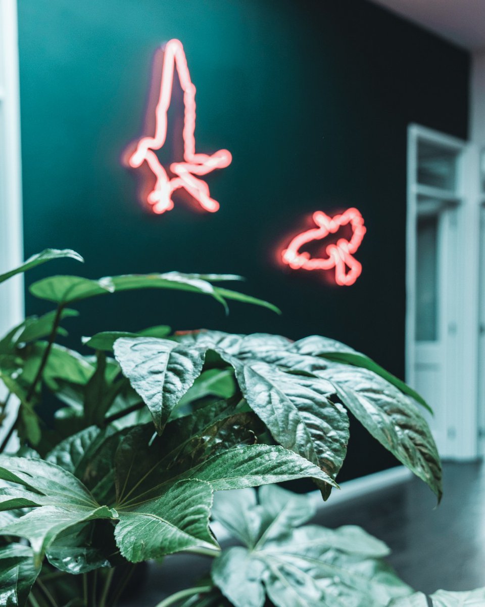 GREEN FRIDAY 💚🌱♻️🦎

If you ask us, Black Friday is frighteningly uncool and increasingly unsustainable. 

This is why we support Green Friday as a sustainable alternative. Take a look at how you can use Green Friday on your website👇

illicitwebdesign.co.uk/blog