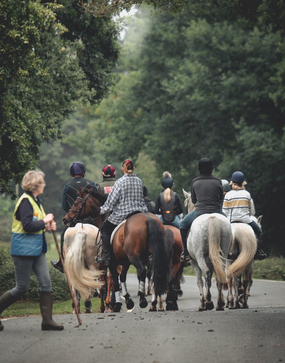⚠️ Drift alert! 👉This Sunday near the Holmsley area we are rounding up ponies for checks. ❗ For safety reasons, please avoid the area if possible. 🚧 Car parks locally will be closed for the duration of the drift. #newforestponydrift #keepyourdistance