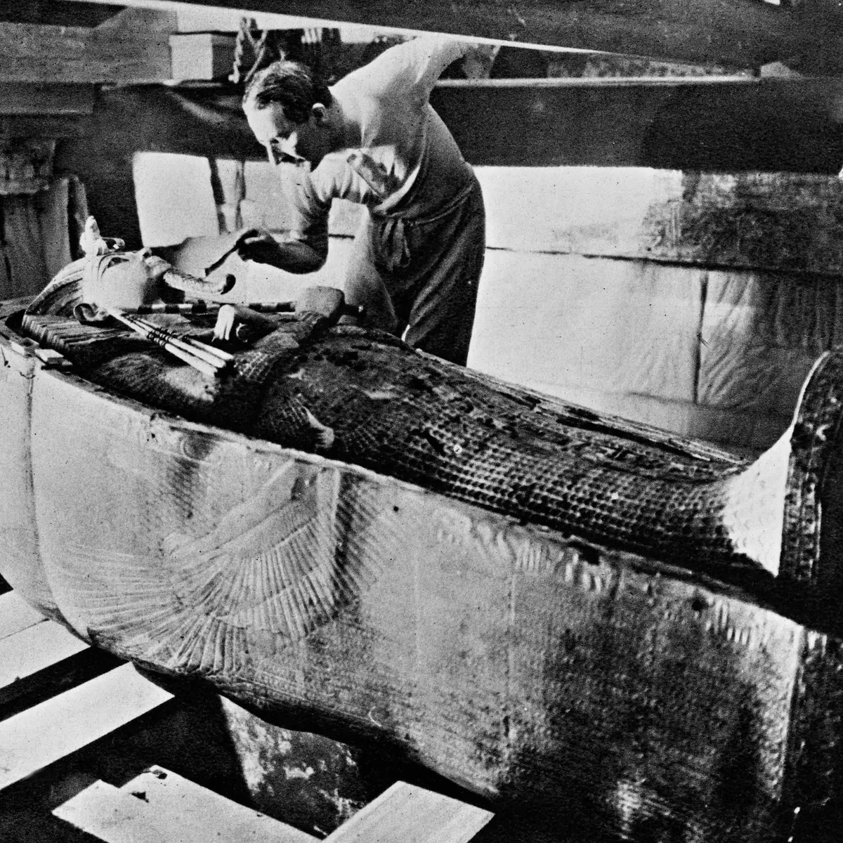 Museum Ian tweet media