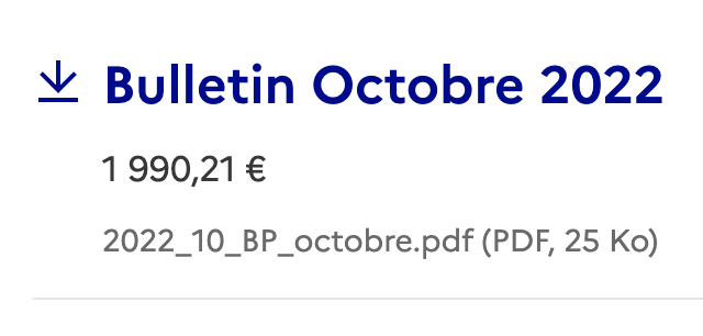 🙃

Professeur certifié (concours niveau Master, catégorie A) dans un lycée en IDF en politique de la ville dans ma 8e année, j'ai bientôt le salaire d'un gardien de la paix stagiaire ( bac, cat. B) ou d'un contrôleur des finances publiques stagiaire (bac, cat B). 

Youhou !

🙂