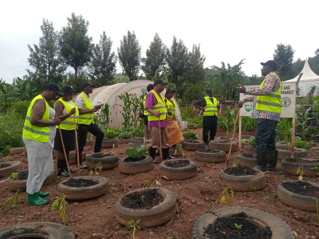 Excel Hort Consult Agribusiness Incubator (EHCAI) (@excelhort) on Twitter photo Today, 4th November <a href="/ExcelHort/">Excel Hort Consult Agribusiness Incubator (EHCAI)</a> has hosted 2 categories of visitors from Rukiga district;
1. @KigeziDiocese
2.@DistrictLeadersRuki..
So far we are proceeding with a farm tour.
#EHCAI
#KigeziDiocese
#RukigaDidtrictLeaders Today, 4th November <a href="/ExcelHort/">Excel Hort Consult Agribusiness Incubator (EHCAI)</a> has hosted 2 categories of visitors from Rukiga district;
1. @KigeziDiocese
2.@DistrictLeadersRuki..
So far we are proceeding with a farm tour.
#EHCAI
#KigeziDiocese
#RukigaDidtrictLeaders