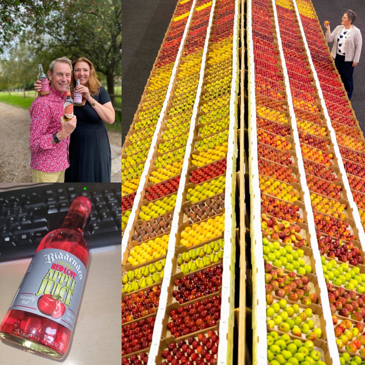 ProducedinKent's tweet photo. Great to see the fruit growing industry on display @Nationalfruit over the last 2 days. Apples, cider and amazing juices . The new season Red Love from @BiddendenVine is an amazing colour! Well done to @mumofaurelia & all the team who put this together.
#buylocal #supportkent https://t.co/emPHV7Ixry