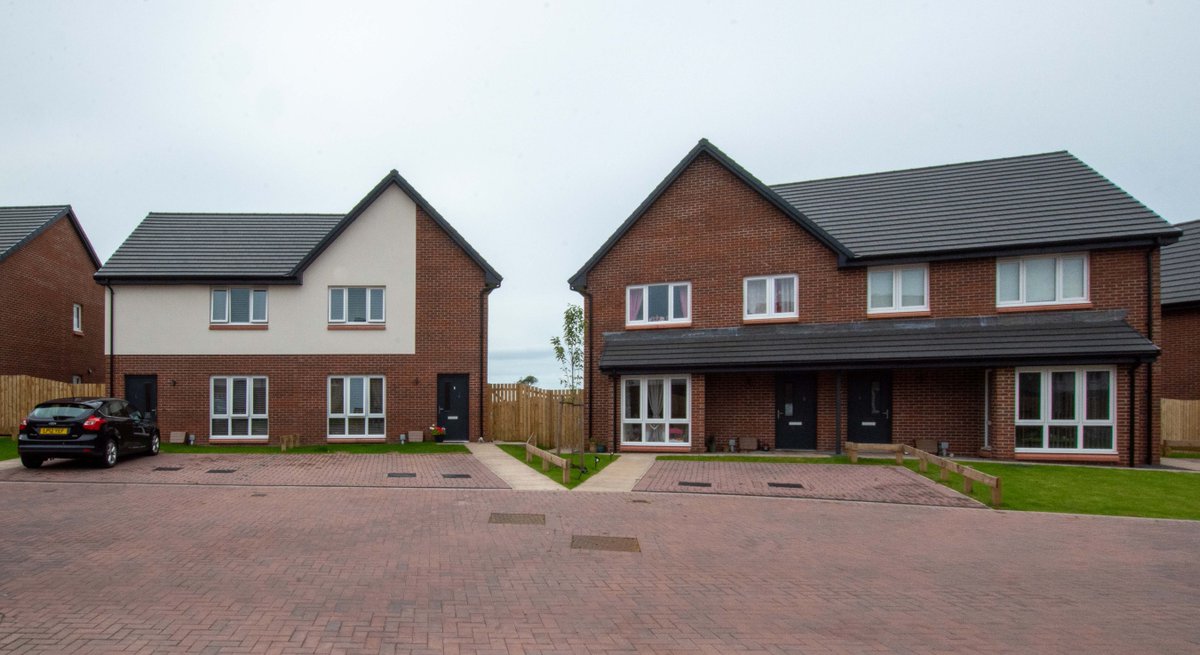 Robert Potter & Ptns tweet media