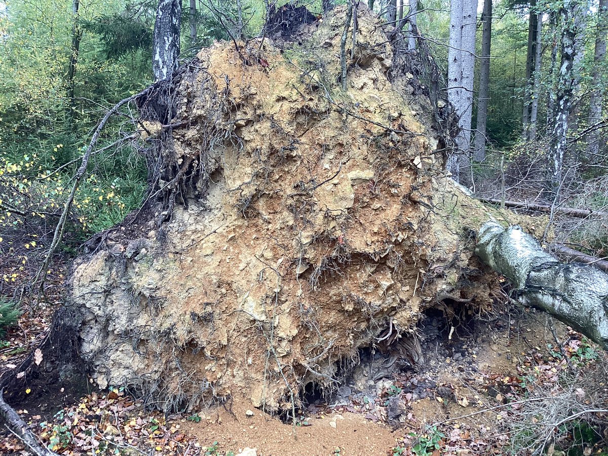 Zuid-Limburg, Vijlen.
