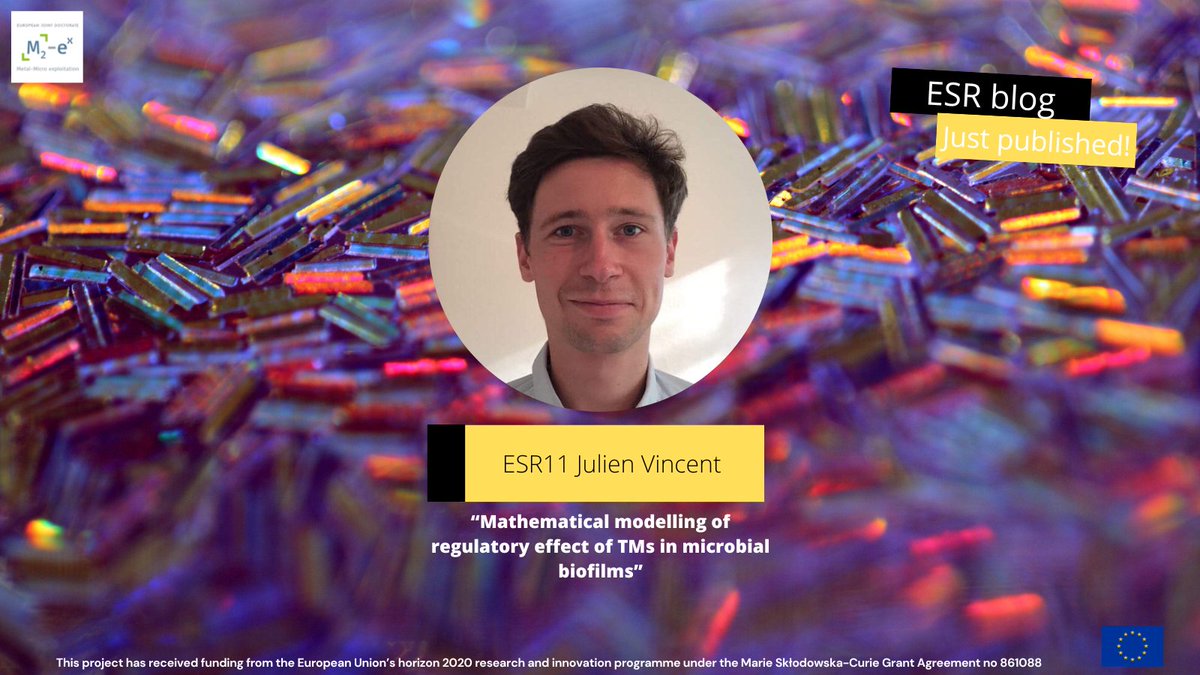 M2ex_ITN's tweet image. #M2exESRBlog: ESR11 Julien Vincent
shares the mathematical way of Modelling 🧑🔬
Click here to discover👉: m2ex-ejd.eu/2022/11/04/mod…
@Mariecurie_alum @MSCActions
#PhDife #mathematicalmodelling #ESRs #ITN