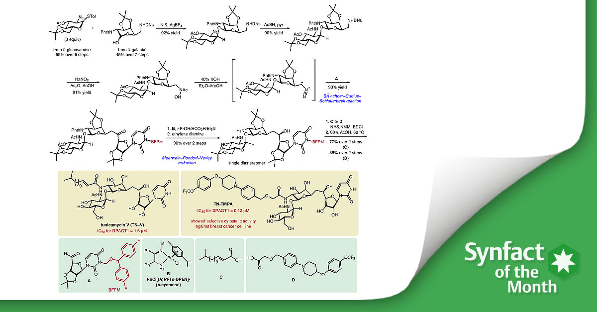 ❇️ In this Synfact of the month <a href="/DirkTrauner/">Dirk H. Trauner</a> from <a href="/nyuchemistry/">NYU Chemistry</a> highlighted the ´A Tunicamycin Analogue Inhibits Human Phosphotransferase, DPAGT1` by Kurosu M. and co-workers from <a href="/uthsc/">The University of Tennessee Health Science Center</a>.🧐 
👉 fal.cn/3tk9K