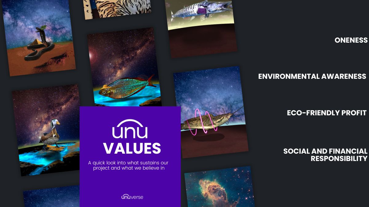 unuverse tweet media