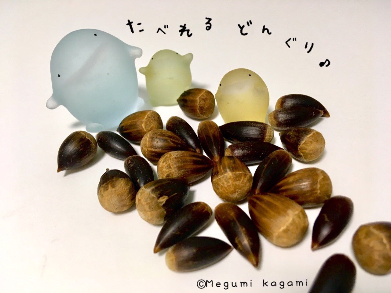 椎の実 Cerca Del Twitter Twitter