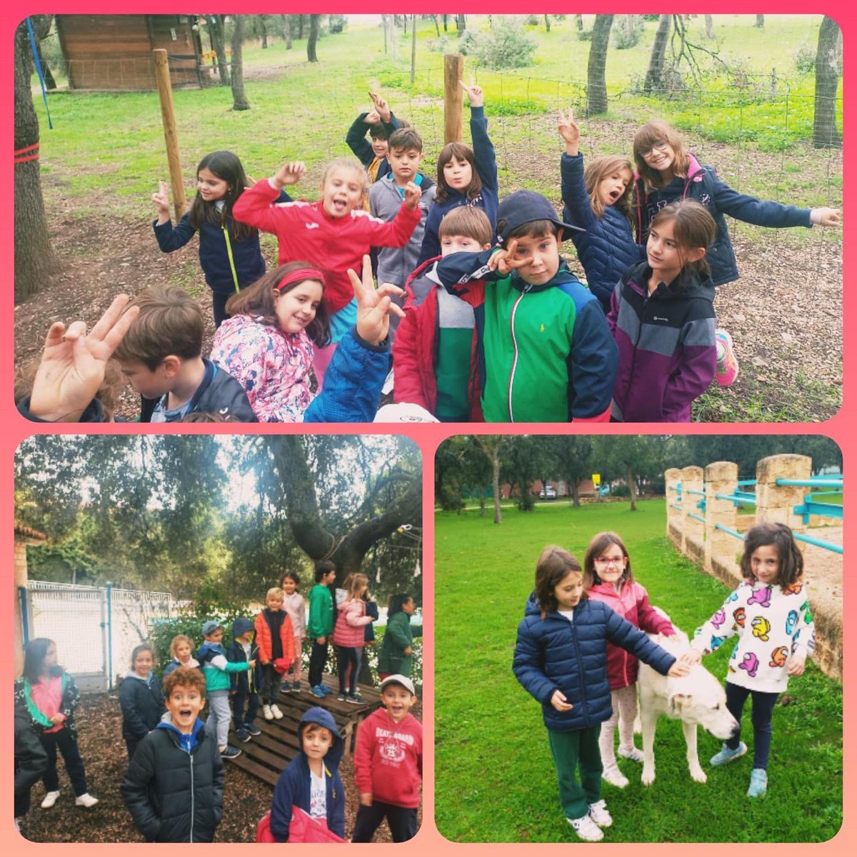 infantes_toledo's tweet photo. Ayer segundo día de juegos y aventuras en Farm Camp.🏇🧗 ¡Diversión asegurada!
Además, dos de nuestros niños tienen la suerte de celebrar allí su cumpleaños.⭐🥰🎊
Happy birthday! We love you♥️
#SomosInfantes #inmersion #diafrutando #aprendiendo #CreandoFARP https://t.co/m63nVkC1uO